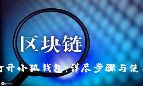 如何打开小狐钱包：详尽步骤与使用指南