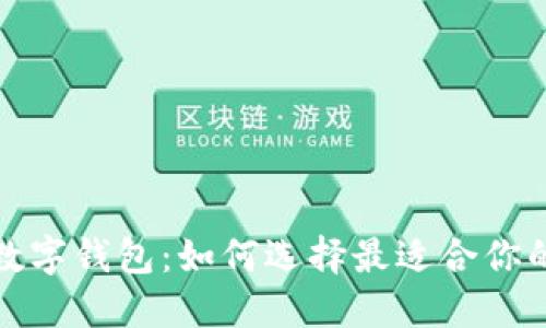 全球最安全的数字钱包：如何选择最适合你的安全金融工具