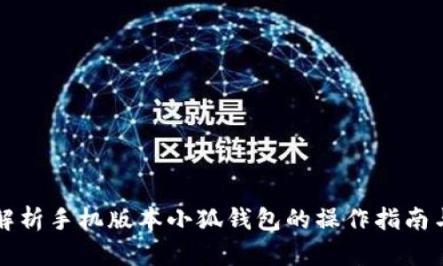 详细解析手机版本小狐钱包的操作指南与技巧