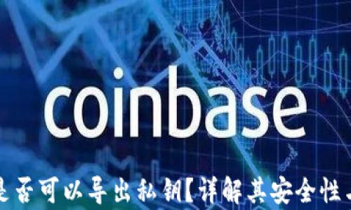 
观察钱包是否可以导出私钥？详解其安全性与操作方法