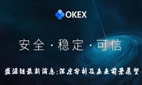 盛源链最新消息：深度分析及未来前景展望