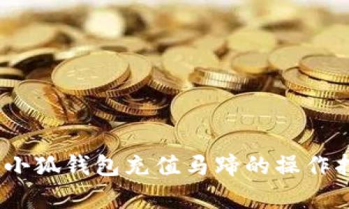 全面解析：小狐钱包充值马蹄的操作指南与技巧