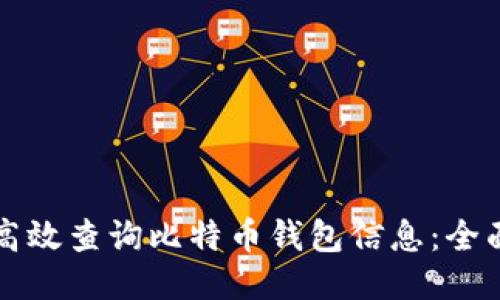 如何高效查询比特币钱包信息：全面指南