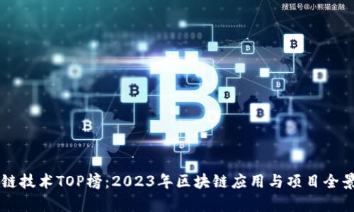 区块链技术TOP榜：2023年区块链应用与项目全景分析