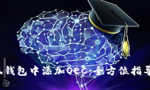  如何在小狐钱包中添加OEC：全方位指导与实用技巧