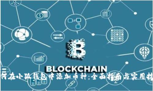 如何在小狐钱包中添加币种：全面指南与实用技巧
