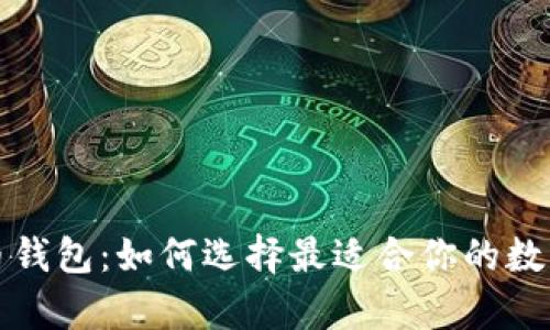 全面解析虚拟币钱包：如何选择最适合你的数字资产存储方式