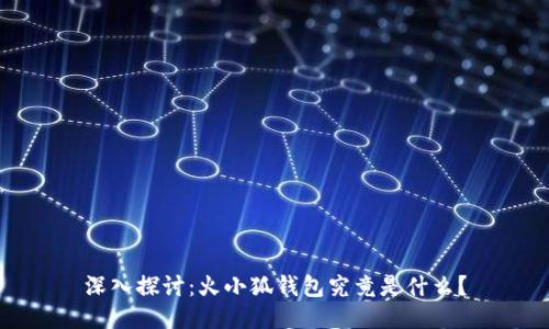 深入探讨：火小狐钱包究竟是什么？