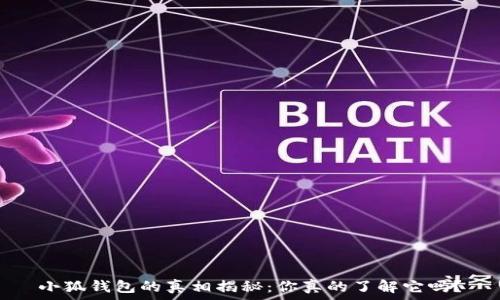   
小狐钱包的真相揭秘：你真的了解它吗？