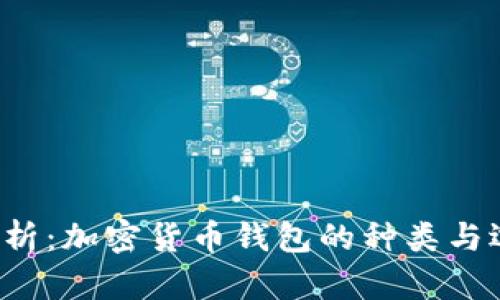  全面解析：加密货币钱包的种类与选择指南