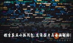 探索真正小狐钱包：高清