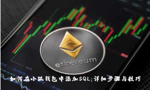 如何在小狐钱包中添加SQL：详细步骤与技巧
