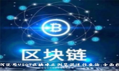 如何使用USDT区块中文浏览器进行查询：全面指南