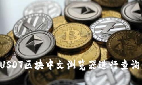 如何使用USDT区块中文浏览器进行查询：全面指南