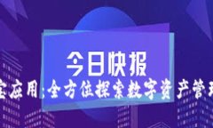 探秘波宝应用：全方位探