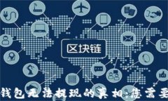 揭示加密币钱包无法提现