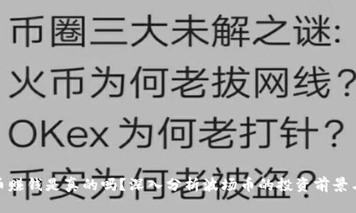 波场币赚钱是真的吗？深入分析波场币的投资前景与风险