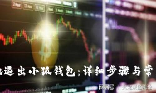 如何安全地退出小狐钱包：详细步骤与常见问题解答