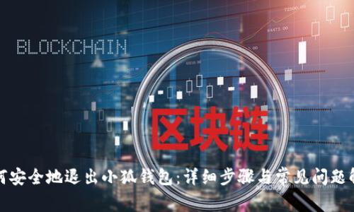 如何安全地退出小狐钱包：详细步骤与常见问题解答