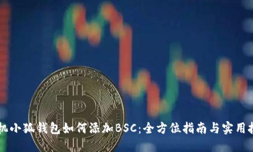 手机小狐钱包如何添加BSC：全方位指南与实用技巧