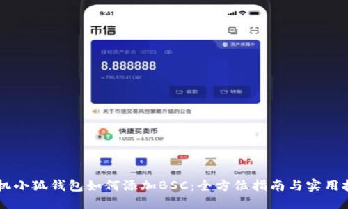 手机小狐钱包如何添加BSC：全方位指南与实用技巧