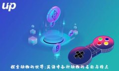   探索动物的世界：英语中