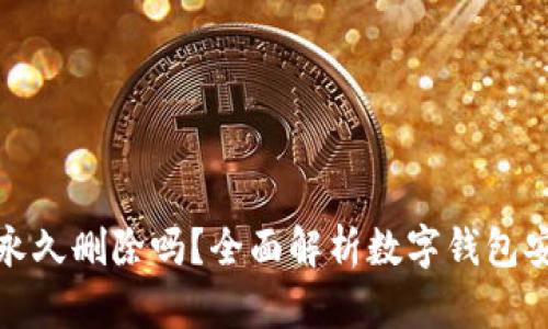 小狐钱包会被永久删除吗？全面解析数字钱包安全与存储机制