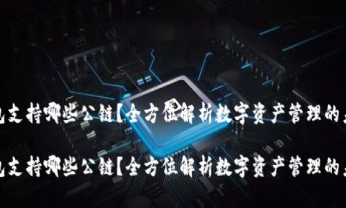 小狐钱包支持哪些公链？全方位解析数字资产管理的未来之路

小狐钱包支持哪些公链？全方位解析数字资产管理的未来之路
