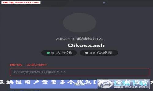 为何区块链用户需要多个钱包？深入分析与实践指南