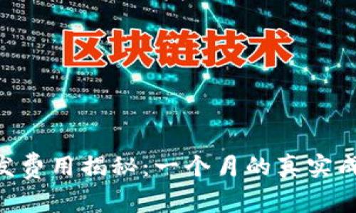 区块链App开发费用揭秘：一个月的真实成本与价值分析