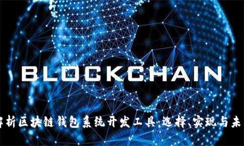 全面解析区块链钱包系统开发工具：选择、实现与未来展望