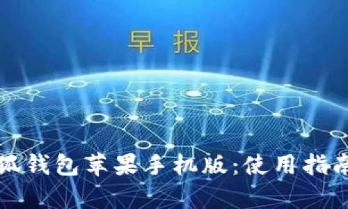 全面解析小狐钱包苹果手机版：使用指南与安全防护