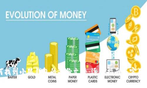 如何找到小狐钱包的备份文件：逐步指南与实用技巧