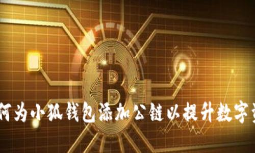 全面指南：如何为小狐钱包添加公链以提升数字资产管理体验