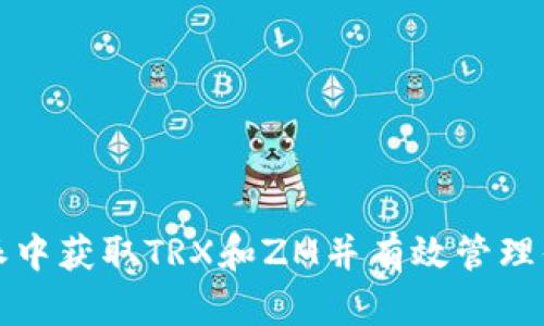 如何在比特派中获取TRX和ZM并有效管理你的数字资产