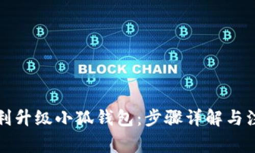 如何顺利升级小狐钱包：步骤详解与注意事项