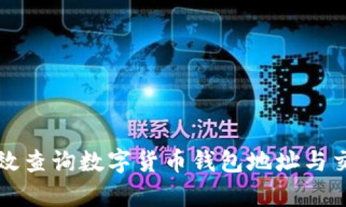 如何有效查询数字货币钱包地址与交易记录