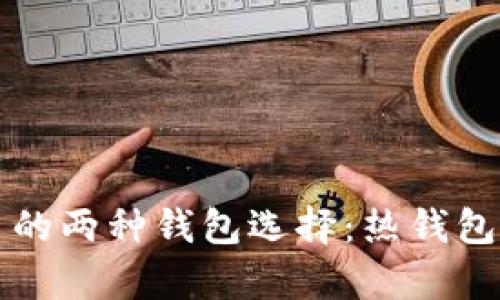 深入探讨数字藏品交易的两种钱包选择：热钱包与冷钱包的优劣势分析