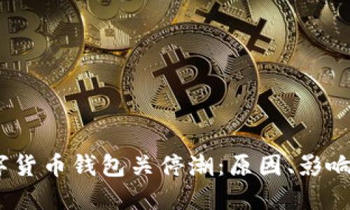 2023年数字货币钱包关停潮：原因、影响与应对策略