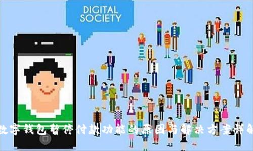 数字钱包暂停付款功能的原因与解决方案详解