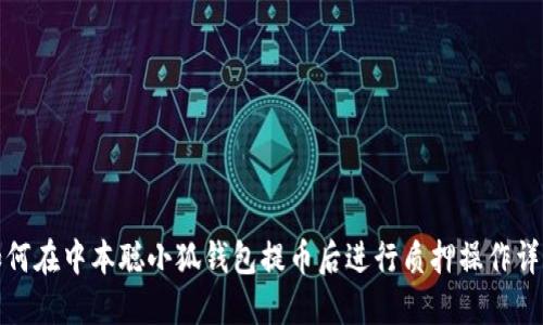 如何在中本聪小狐钱包提币后进行质押操作详解