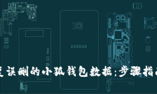 如何有效恢复误删的小狐钱包数据：步骤指南与注意事项