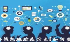 区块链公共钱包地址是什