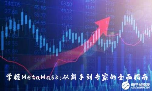 掌握MetaMask：从新手到专家的全面指南