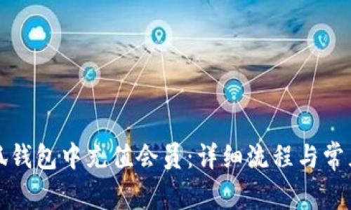 如何在小狐钱包中充值会员：详细流程与常见问题解析