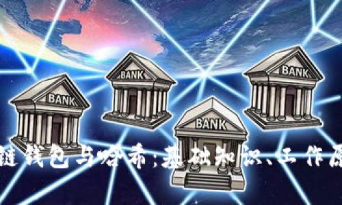 全面解析区块链钱包与哈希：基础知识、工作原理与应用场景