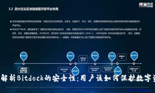 深入解析Bitdock的安全性：用户该如何保护数字资产?