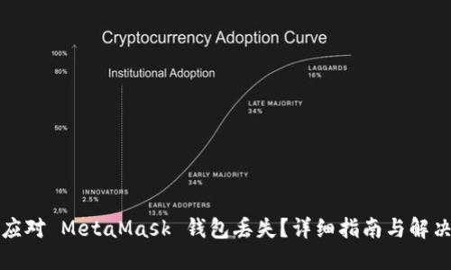 如何应对 MetaMask 钱包丢失？详细指南与解决方案