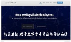 的区块链：揭开数字货币