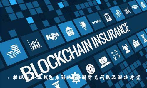 : 提现到小狐钱包未到账？详解常见问题及解决方案